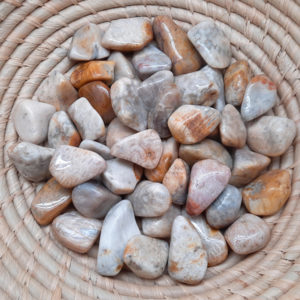 Agatised Coral Tumbles