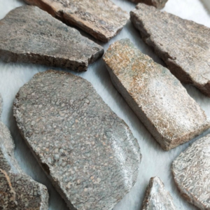 Multiple pieces of petrified Dino Bone all laid out next to each other for comparison.